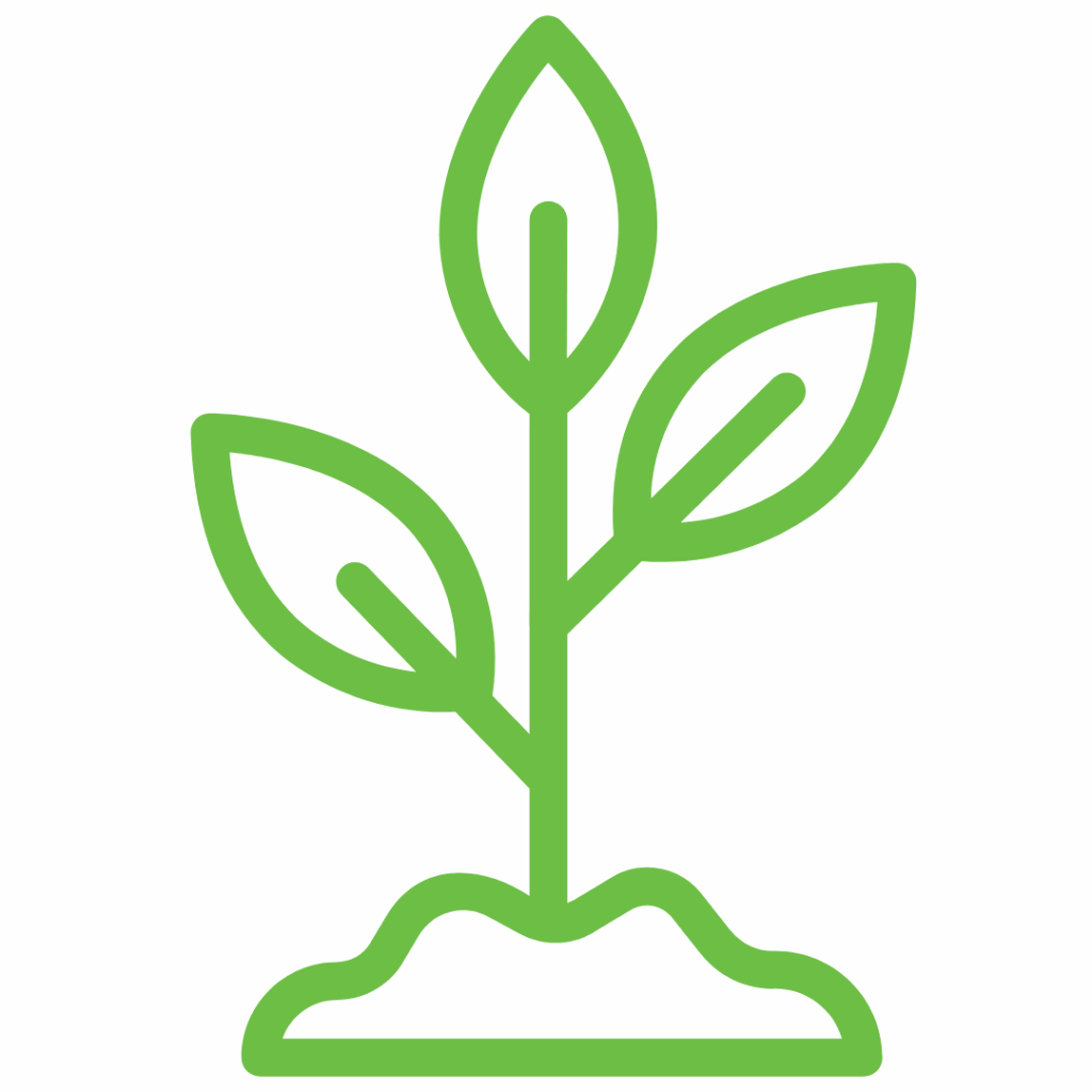 Green sprout emerging from soil, symbolizing growth and the expanding library of science lessons.